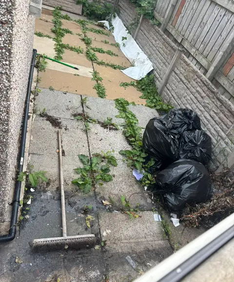 An overgrown side passage with broken paving and weeds.